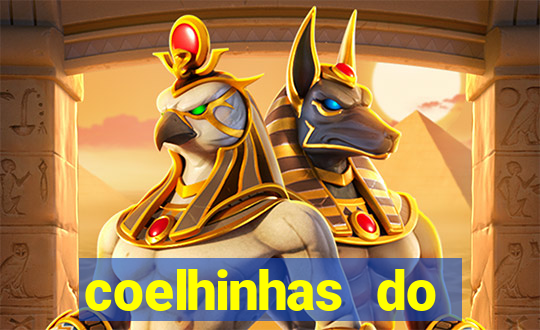 coelhinhas do brasil recife